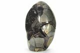 Free-Standing, Polished Septarian Geode - Black Crystals #224233-2